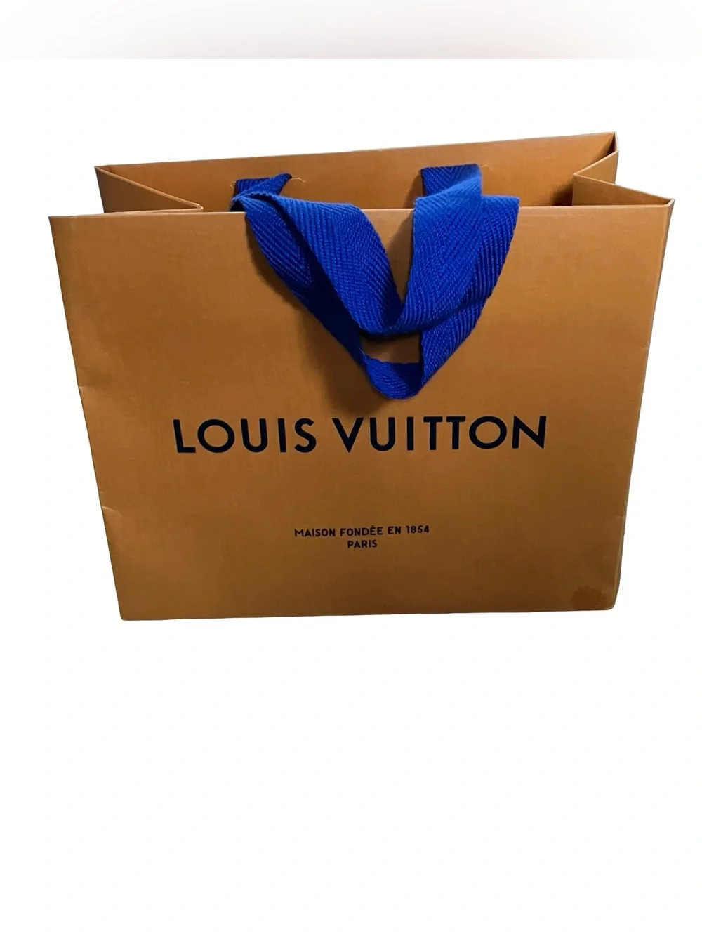 Louis Vuitton authentic louis